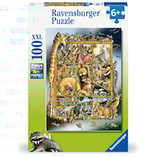 Pussel Animals On The Shelf 100 bitar, Ravensburger