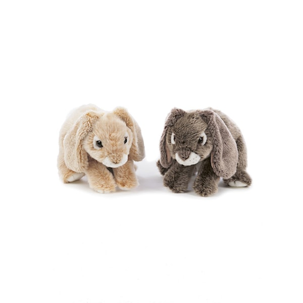 Mjukisdjur Vädurskanin Beige Teddykompaniet - gosedjur Mjukisdjur Vädurskanin Beige Teddykompaniet - gosedjur