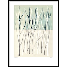 Skogsdunge Poster Alexander Adiels30x40cm