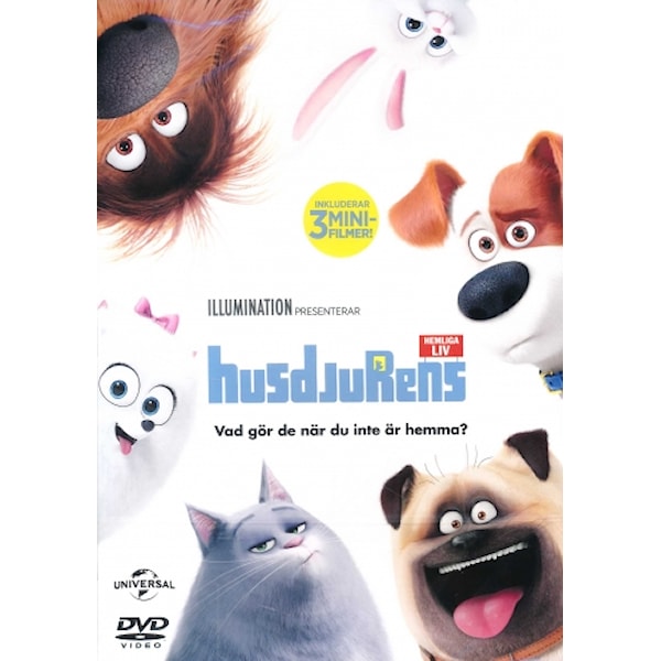 Husdjurens Hemliga Liv 1
