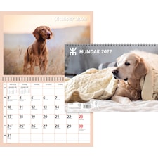 Väggkalender Hundar 2022 Almanacksförlaget