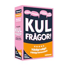 Kul frågor Kylskåpspoesi (SE)