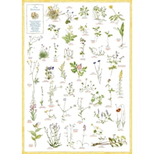 Svenska blommor affisch
