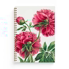 Muistikirja A5 Pioni