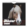 Väggkalender Hästar Mini 2026