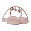 Fairy Garden Babygym Little Dutch