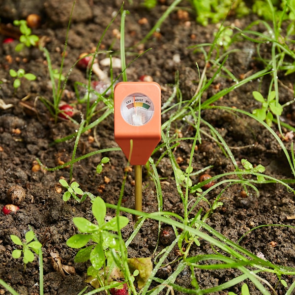 Hydrometer Kikkerland