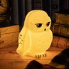 Hedwig Lampe Harry Potter