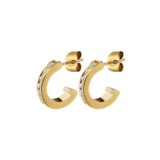 Dyrberg/Kern Desolo Gold Crystal Örhängen