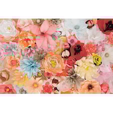 Crepepapper till Blommor 25x250 cm Vattenmelon