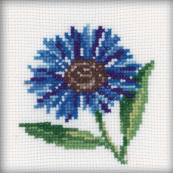 Broderisett kornblomst 10x10 cm RTO