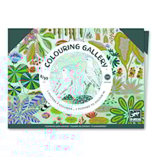 Maalauskuvat lintuja väritettäväksi Djeco