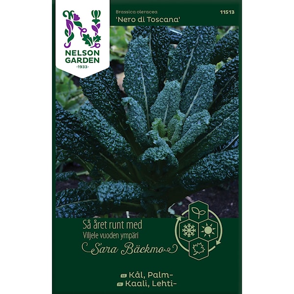 Kål, Palm-, Nero di Toscana