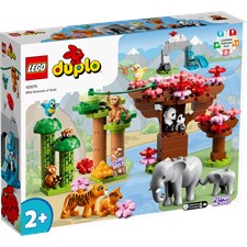 Asiens vilda djur LEGO® DUPLO Town (10974)