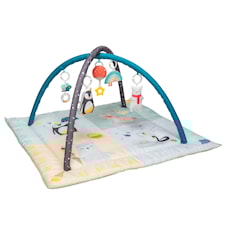 Babygym North Pole 4 Seasons Taf Toys