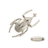 Ioaku Bettle Brooch Alloy Silver