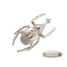 Ioaku Bettle Brooch Alloy Silver