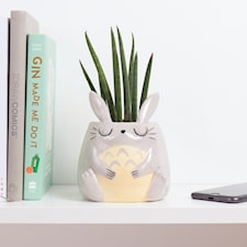 Min Granne Totoro Kruka