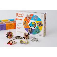 Hjärnpussel Set 6 i 1 Recent Toys