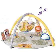 Savannah 360 Babygym