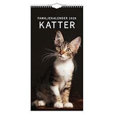 Familjekalender Katter 2026
