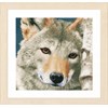 Kirjontapakkaus, laskettava ristipisto Wolf 35 x 35 cm Lanarte