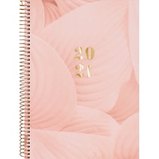 Kalender 20-21 Burde Study A5 Saga, aprikos