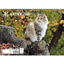 Almanacksförlaget Kalender 2021 Katter Väggkalender