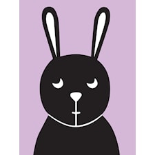 Kanin Poster 30x40 cm