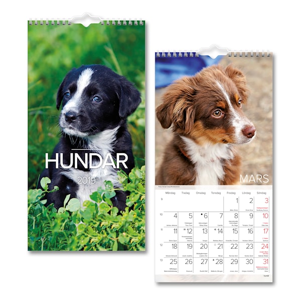 Väggkalender 2019 Burde Liten Hundkalender