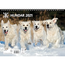 Almanacksförlaget Kalender 2021 Hundar Väggkalender