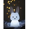 Carlo LED-Nattlampa Kanin