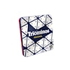 Triominos Magnetiskt Resespel Goliath