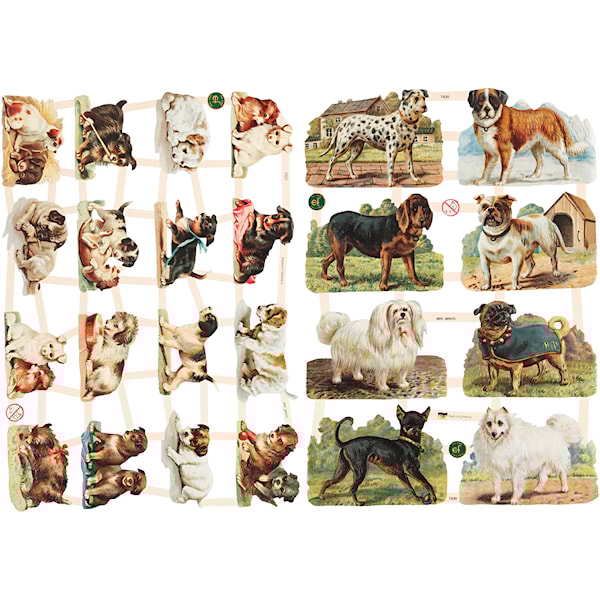 Glansbilder, hunder, ark 16,5x23,5 cm, 2 ark/ 1 pk.