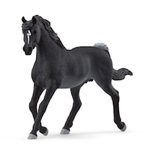 Arabian täysiverinen ori Schleich