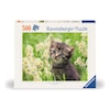 Kitten In The Meadow Palapelit 500 palaa, Ravensburger