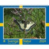 Väggkalender Sverige Natur 2024 Almanacksförlaget