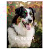 Väggkalender 2026 Stora Hundkalendern 295x390 mm Burde