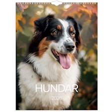 Väggkalender 2026 Stora Hundkalendern 295x390 mm Burde