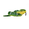 Emerald Tree Boa Corallus Canina Snakesss Wild Republic