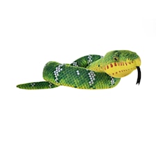 Emerald Tree Boa Corallus Canina Snakesss Wild Republic