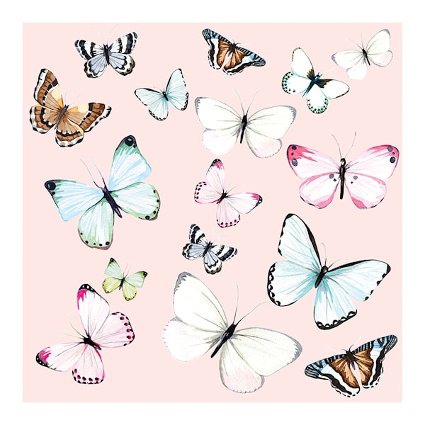Kort med Kuvert Miss Butterfly Black Olive