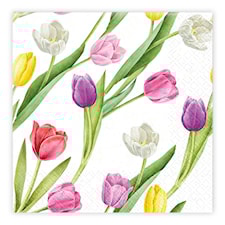 Kaffeservett Tulpaner mixade 20-pack Ivars i Lanna