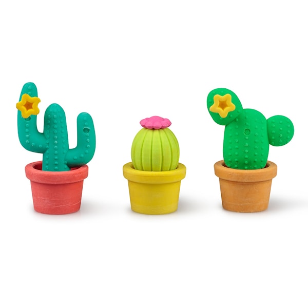 Kaktus Suddgummi 3-pack