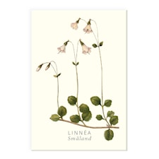 Kylskåpsmagnet Linnéa Gullers