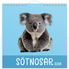 Väggkalender 2026 Sötnosar 160x160 mm Burde