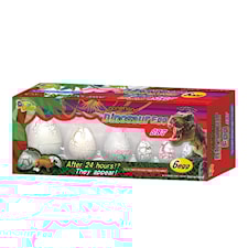 Dinosaur Egg Set