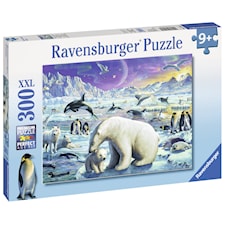 Polar Animals Gathering, Pussel, 300 bitar, Ravensburger