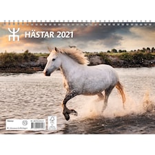 Almanacksförlaget Kalender 2021 Hästar Väggkalender