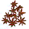 Anisstjerner, 10 stk./ 1 pk.
